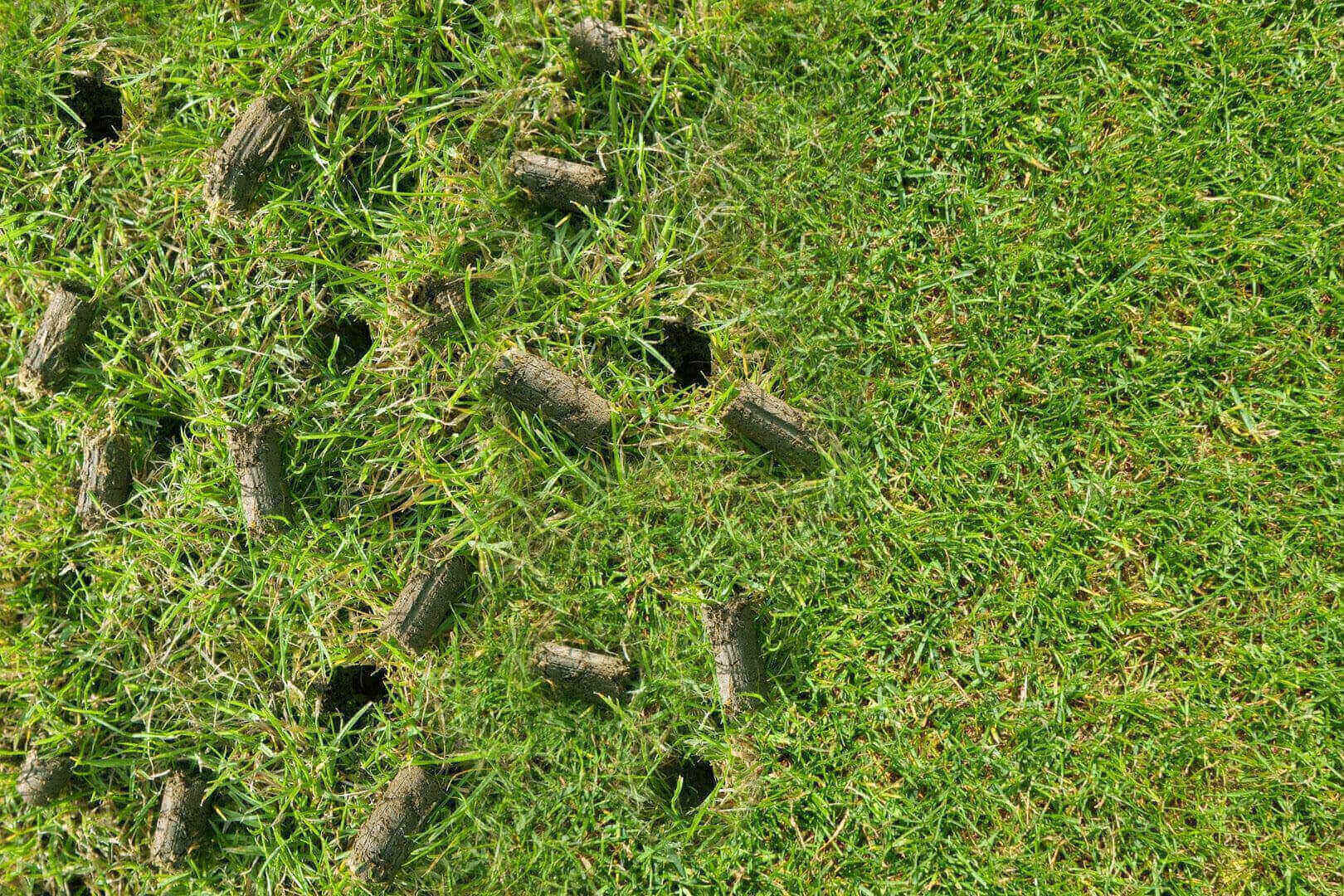 lawn cores