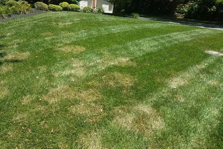 dead spots