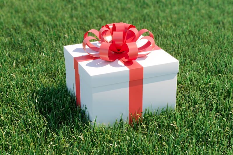 gift