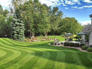 lawn