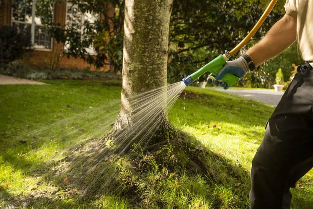 sprayer