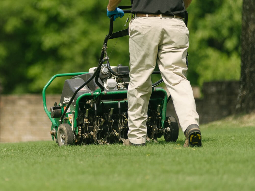Aeration & Seeding