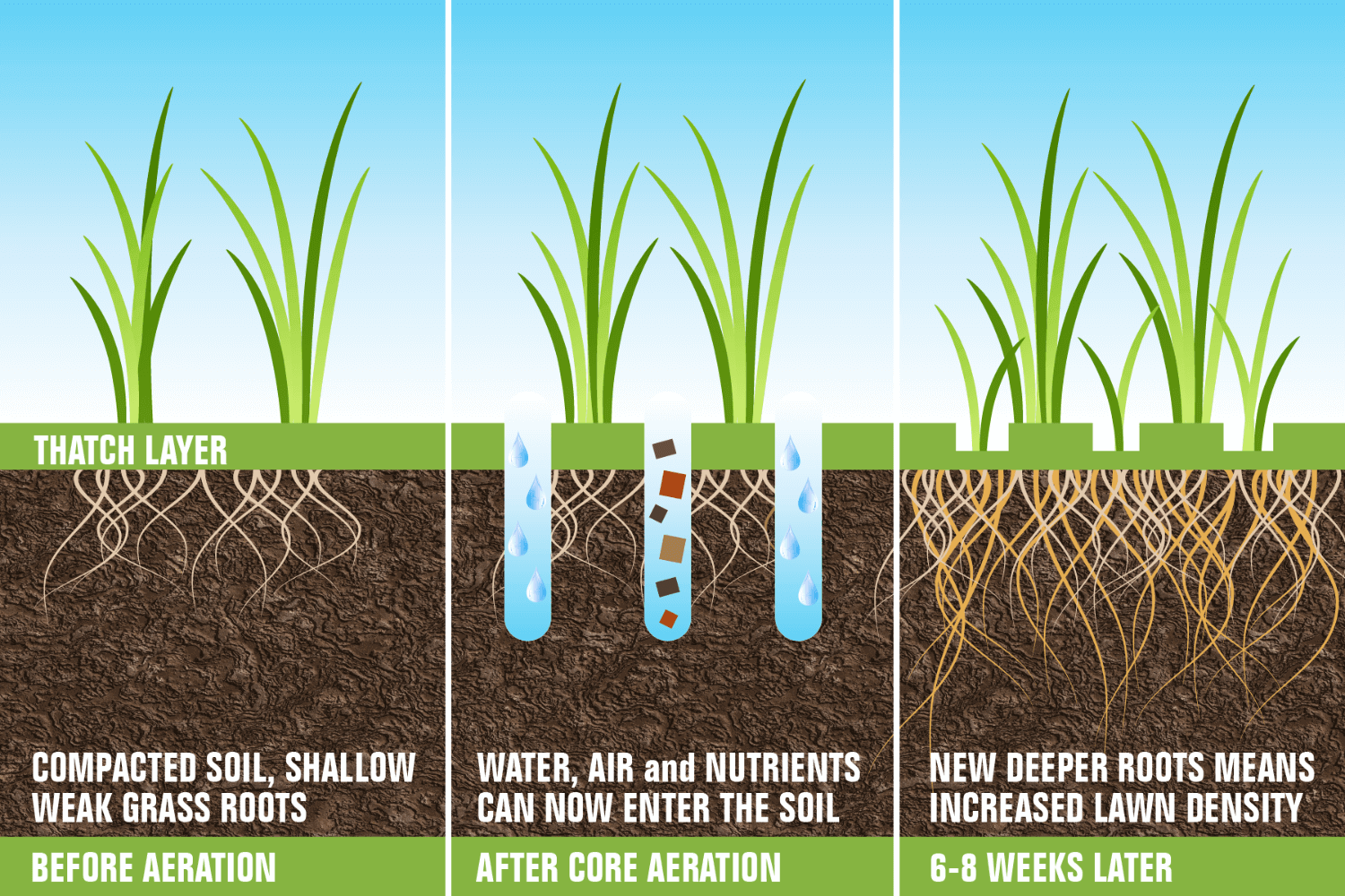 Aeration and Seeding Lexington Richmond Kentucky