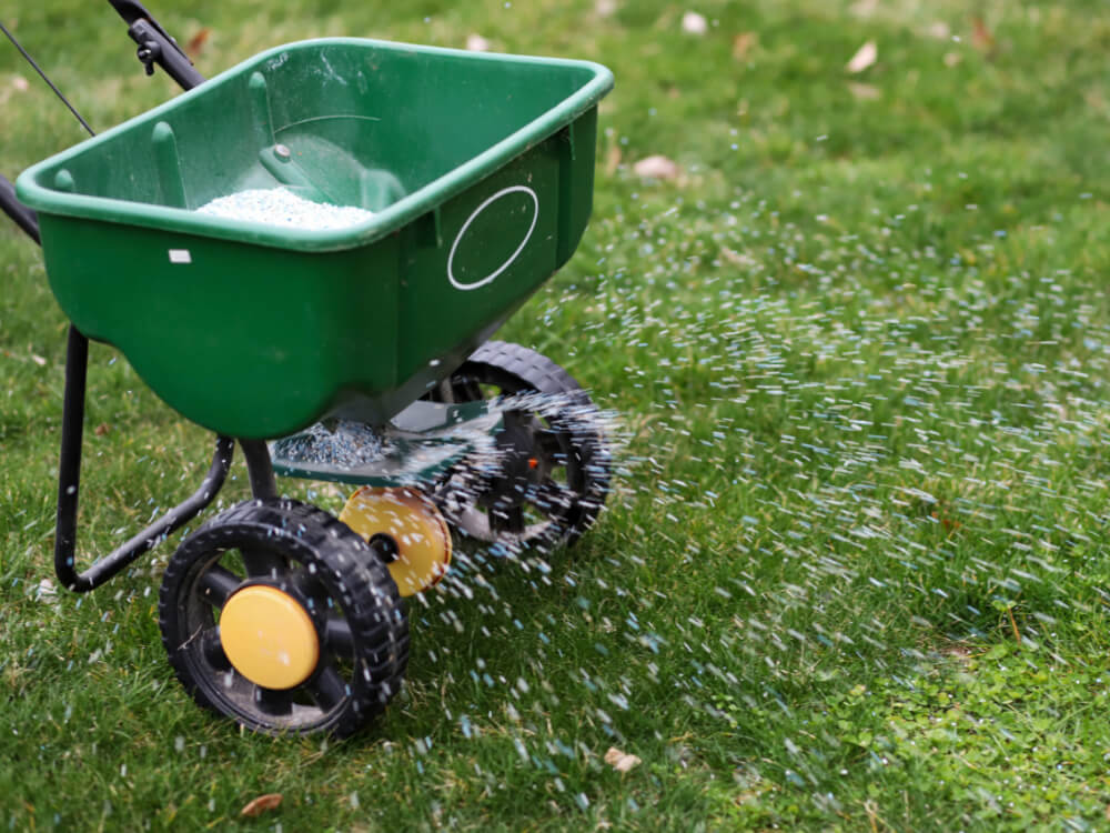 Lawn Fertilization & Weed Control