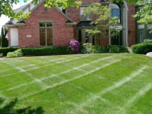 3 Lawn Fertilization Lexington Richmond Kentucky Green 300x225